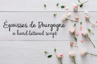 PN Époisses De Bourgogne: A Bouncy Script Font for Web